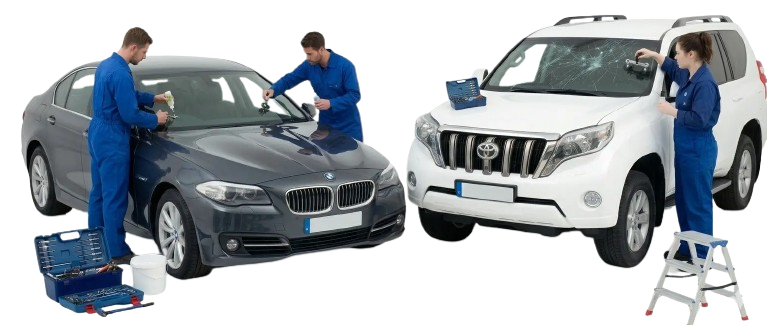 Professional-Windshield